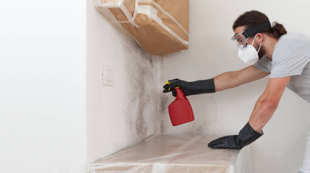 Professional Black Mold Remediation technician working in Jarratt, VA